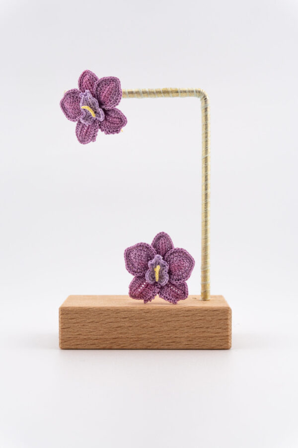 Moth Orchid - purple - Image 2