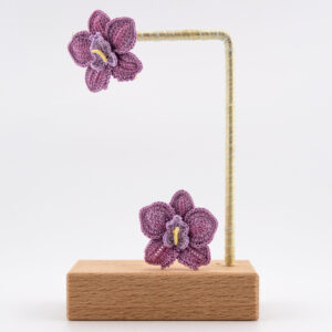 Moth Orchid - purple