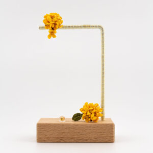 Osmanthus Flowerball - yellow